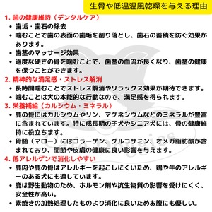 鹿の生骨　骨盤