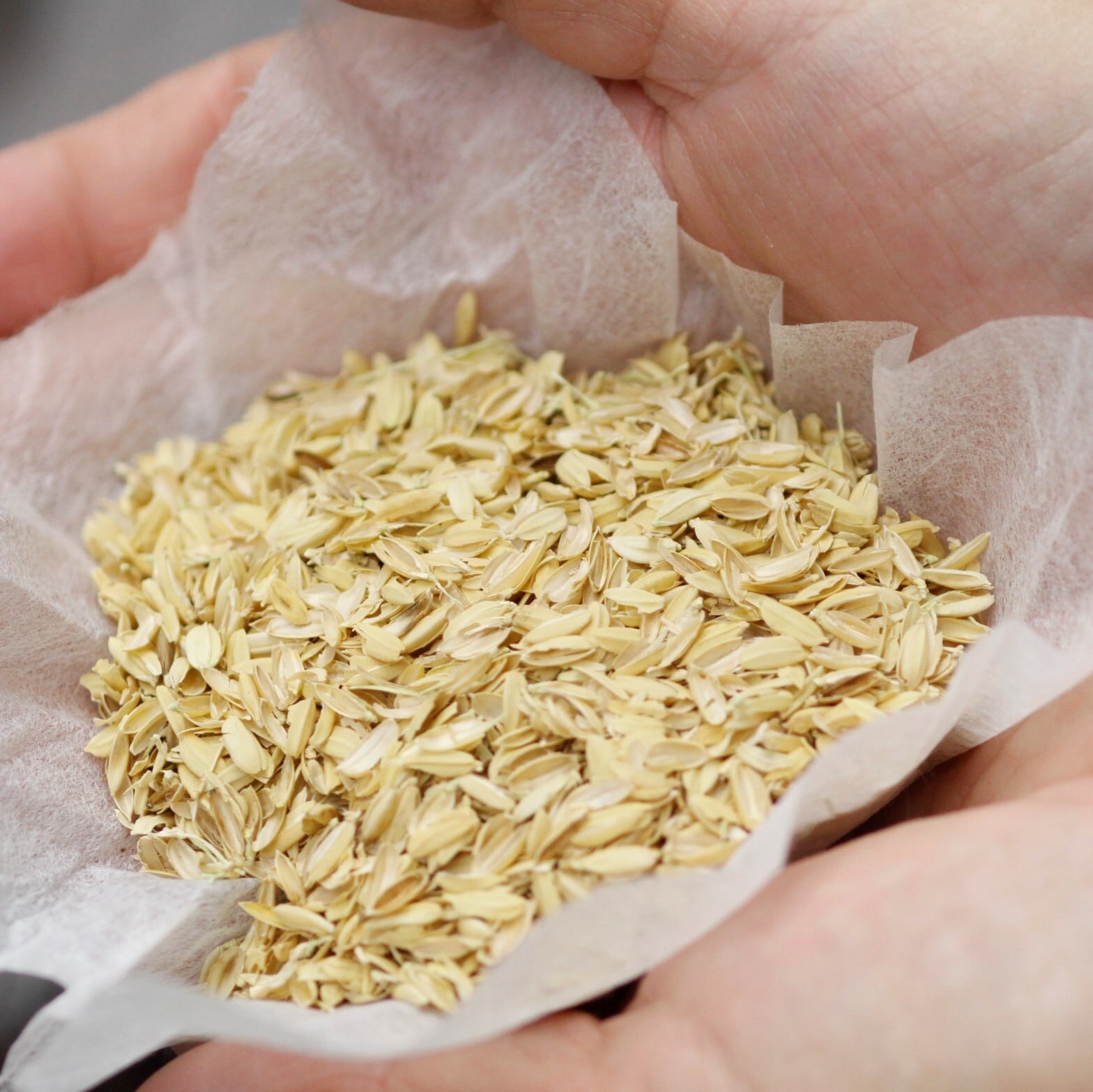 もみ殻 200gパック | 讃岐かがり手まりオンラインショップ