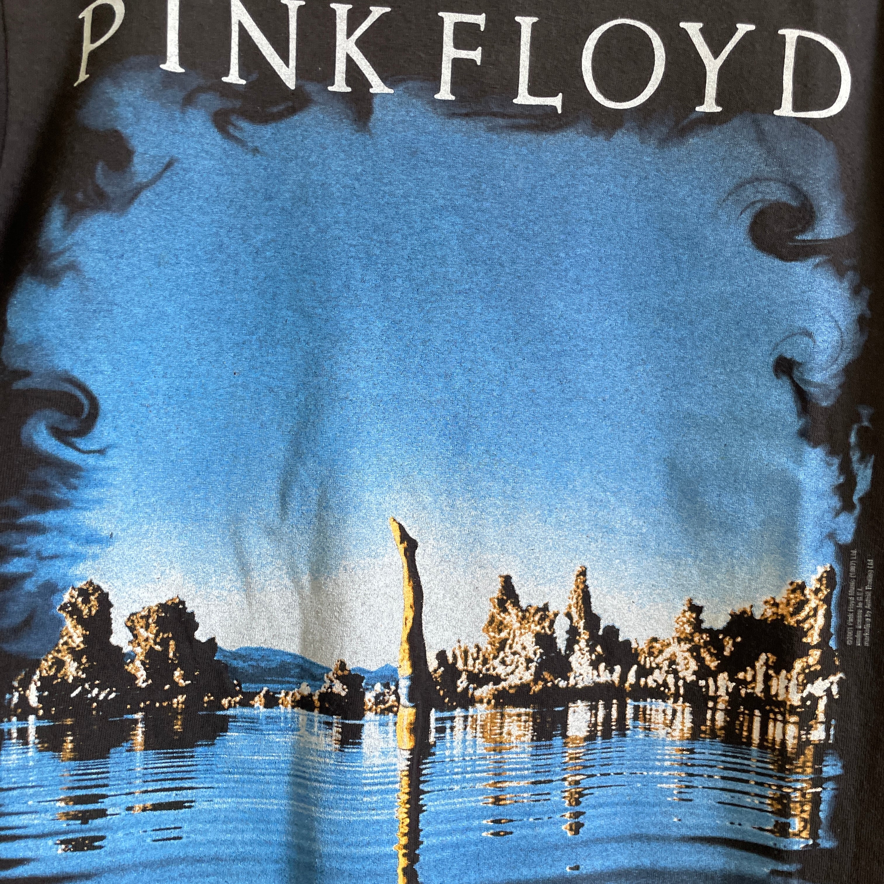 anvil PINK FLOYD ピンクフロイド バンドTシャツ バンT メンズM /eaa325742