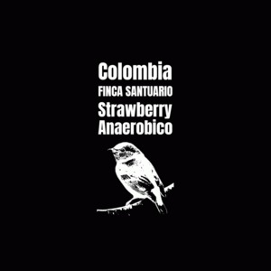 コロンビア フィンカ サントゥアリオ ストロベリーアナエロビコ【ポスト便】