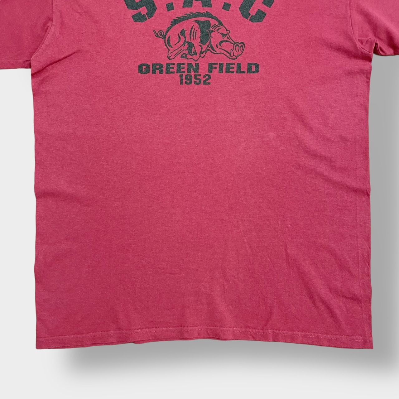 【AVIREX】USA製 S.A.C アーチロゴ Tシャツ くすみカラー 袖プリント L アヴィレックス US古着　