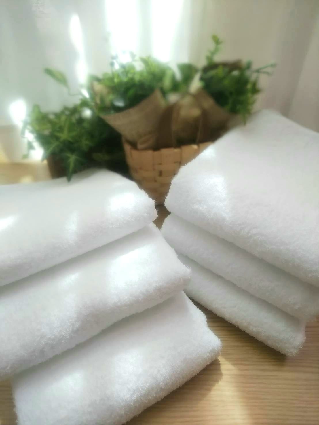 260匁高級綿糸コーマコットンホワイトフェイスタオル20枚　柔かな肌触り ホワイト】≪大阪泉州産 柔らかく優しい肌触り≫20枚組 高級綿糸