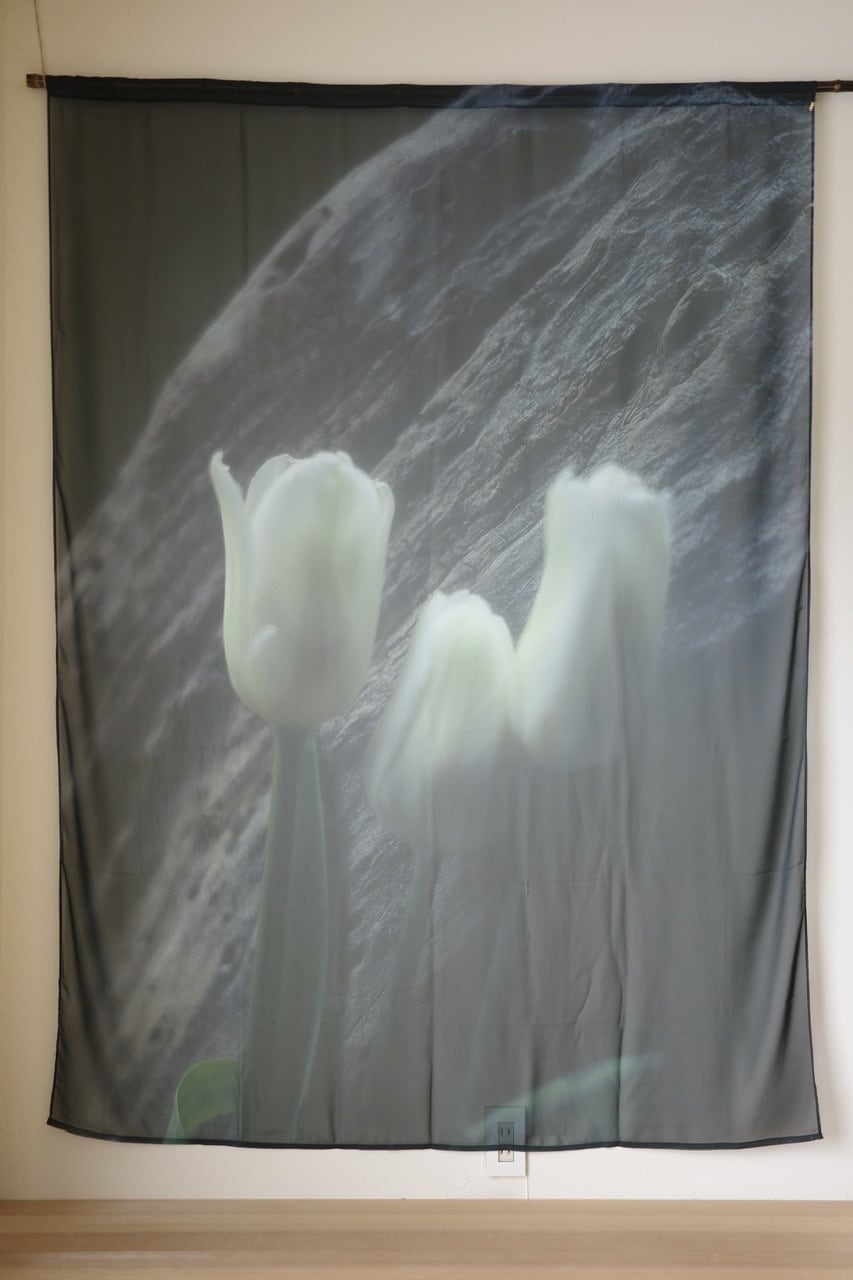 rūpa print curtain"All living things have meaning "32"