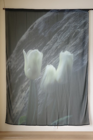 rūpa print curtain"All living things have meaning "32"