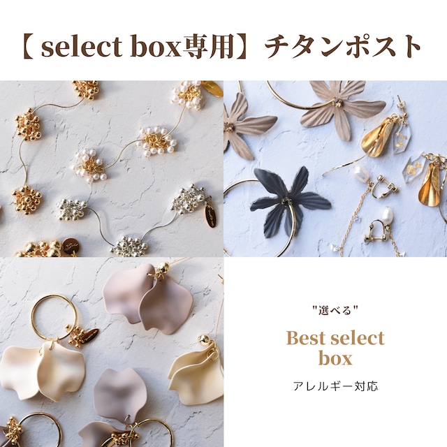 【select box専用】チタンポスト