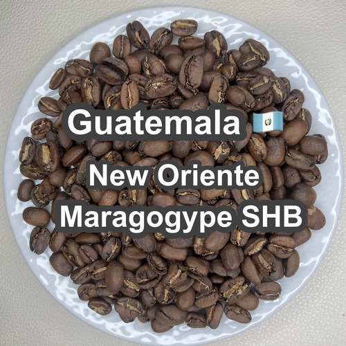Guatemala New Oriente Maragogype SHB（ グアテマラ ニューオリエンテ マラゴジッペ  SHB）100g 【受注焙煎・自家焙煎コーヒー豆】【爽やかな酸味と深いコク】