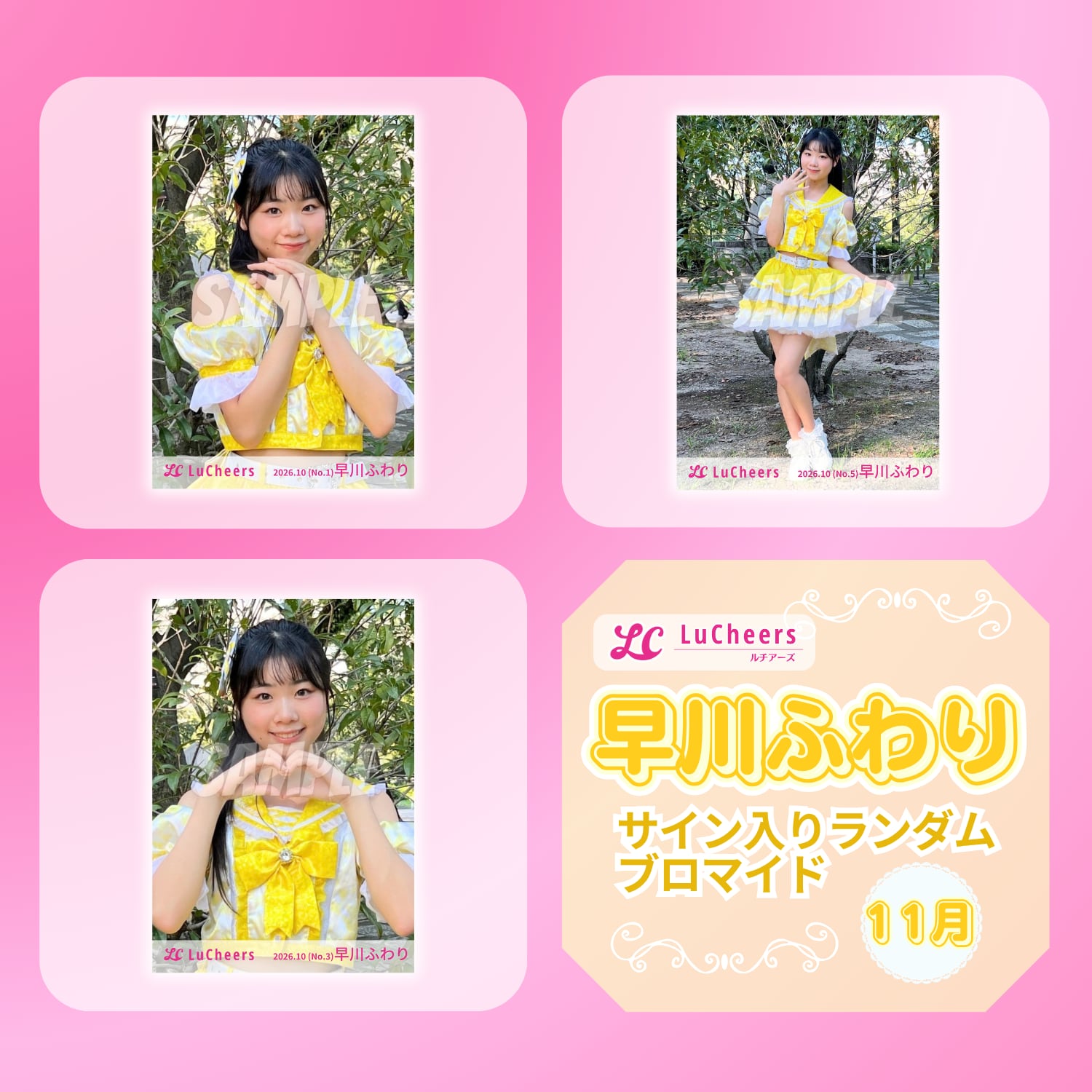 早川ふわり 11月 サイン入りランダムブロマイド | N GRACE SHOP