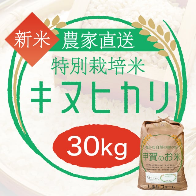 キヌヒカリ 農家直売・特別栽培米 玄米30kgまたは白米・うまみ白米・無