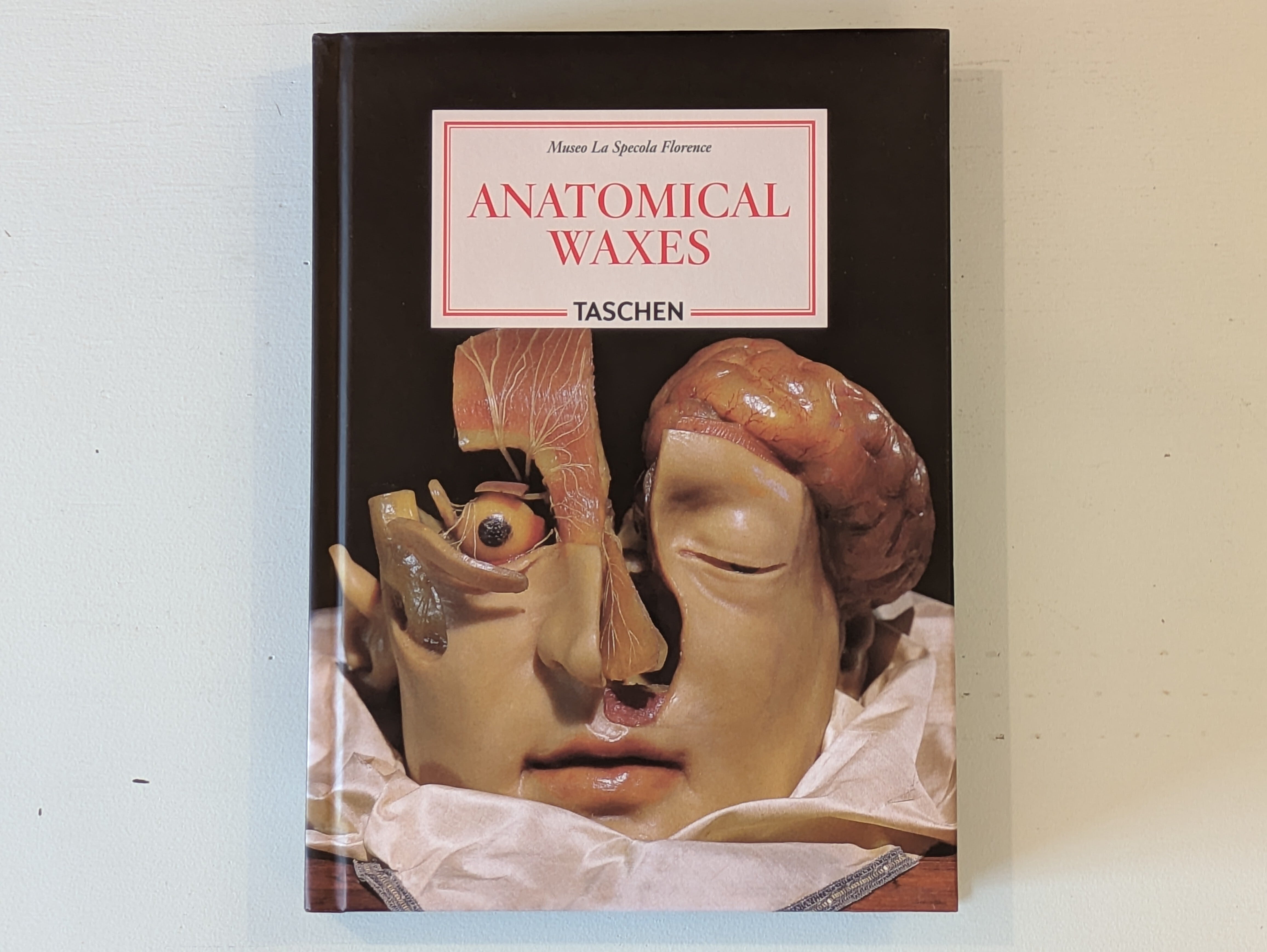 デザイン系の洋書　FOUND OBJECTS ライフスタイル　写真集　英語 元・書店員がオススメするアート、デザイン、インテリアの洋書と、洋書