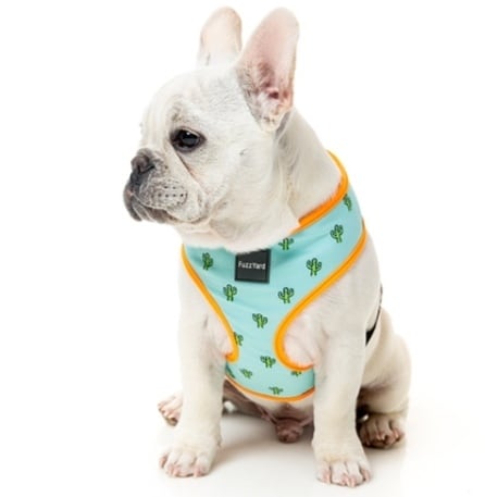 犬 ドッグ ラグマット 犬柄 フレンチブルドッグ カーペット