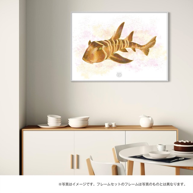 【海のいきものアートポスター／魚】ネコザメ