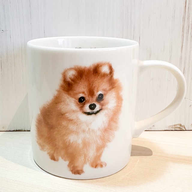 わんコレ　マグカップ　ポメラニアン