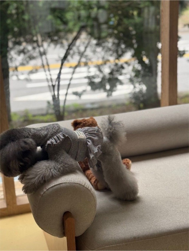 予約  【Lorelei dog】 Mila skirt (Gray)