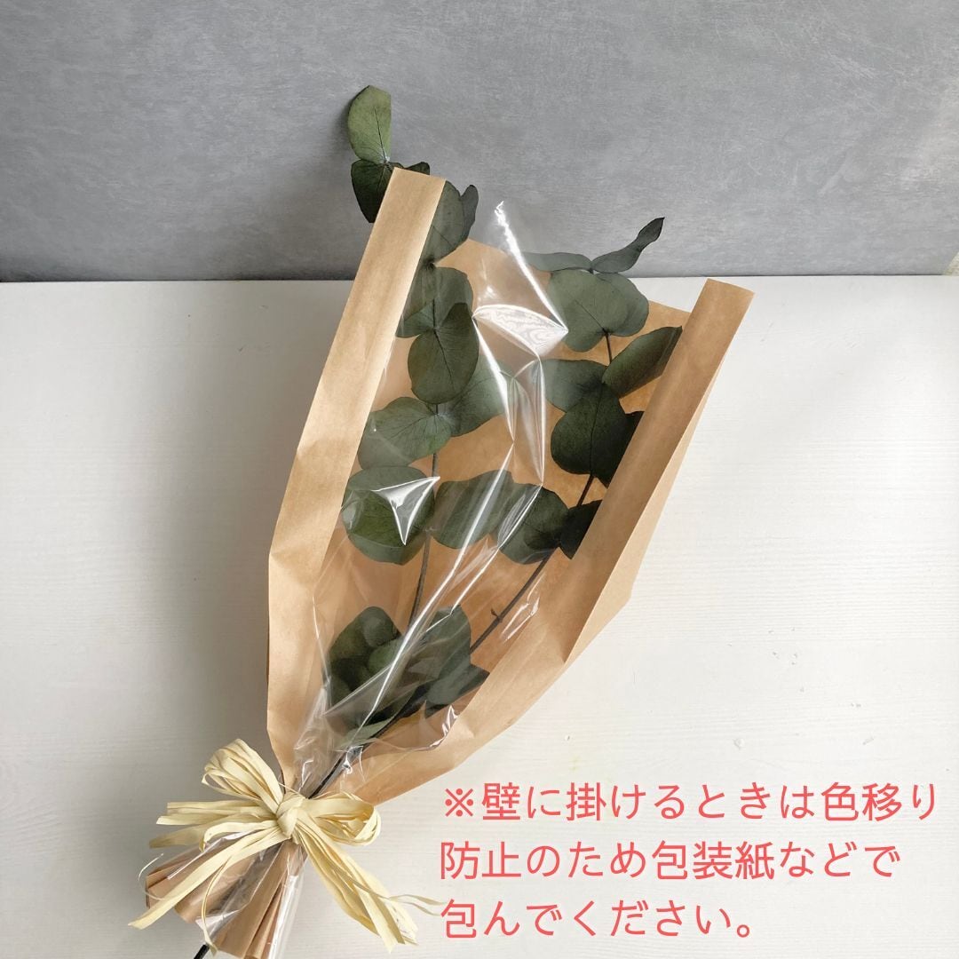 ユーカリ3本入り | ＋FLOWER・プラスフラワー・プリザーブドフラワーの