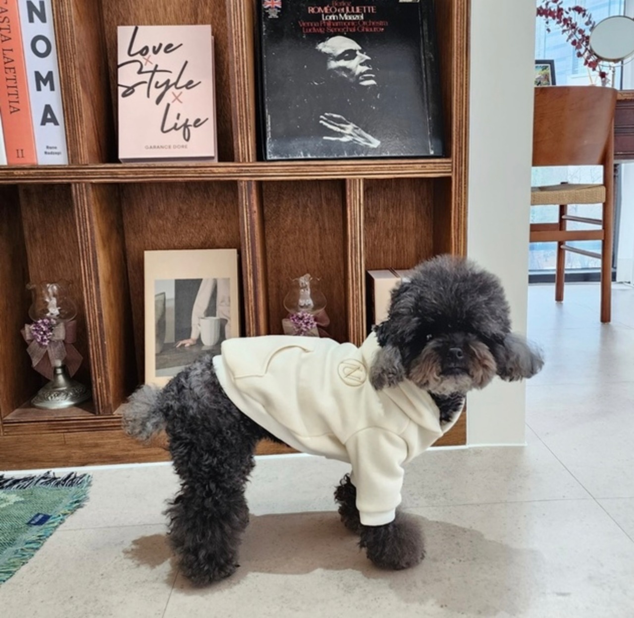 即納【nounnou】Logo Hoodie Warm(袖あり)／わんちゃん用(2color)