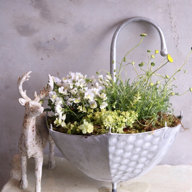 傘プランタースプリング寄せ植え　届いてすぐ玄関に飾れる 　プレゼントにもオススメ　
