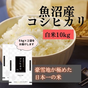 [5kg×2袋]魚沼産コシヒカリ