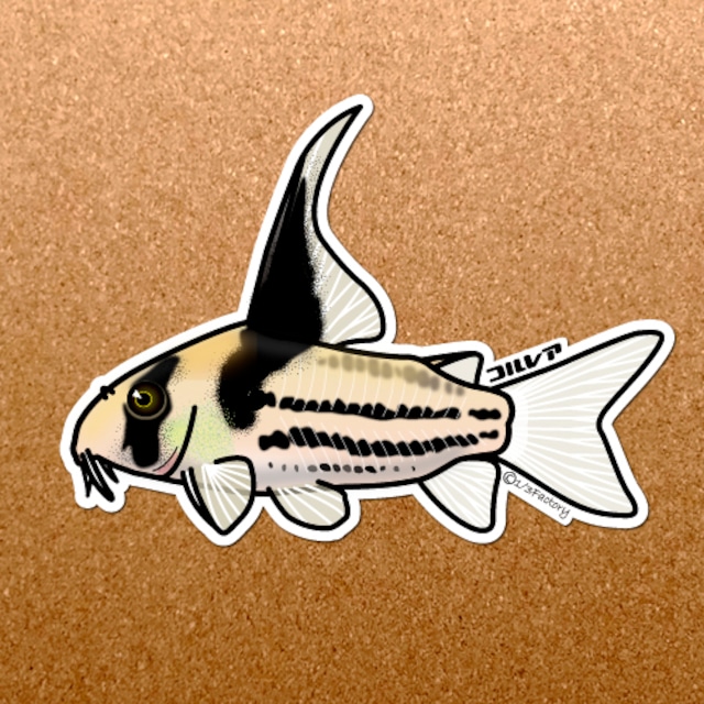 熱帯魚ステッカー プラカット鯉ベタ
