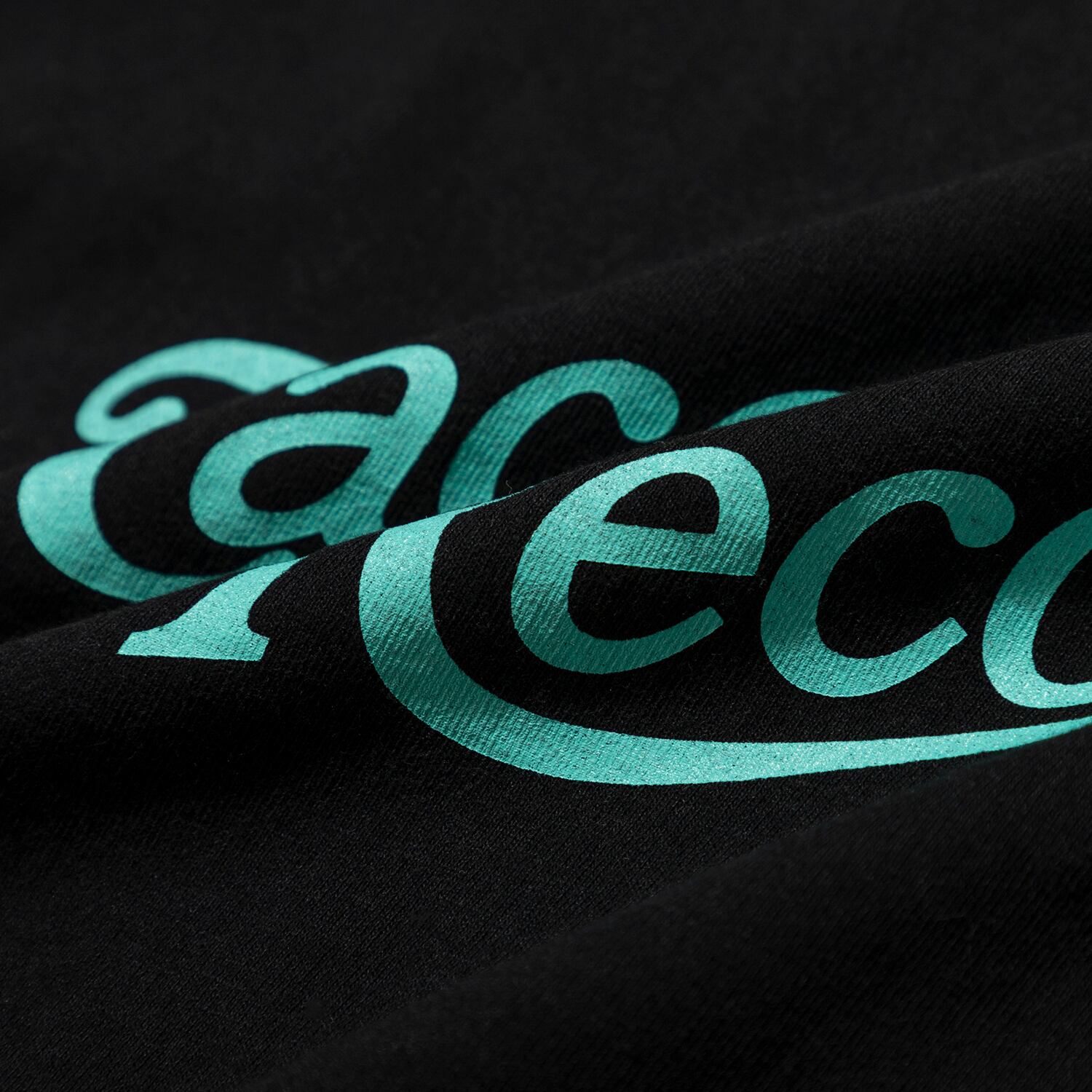 TACOMA FUJI RECORDS＜タコマフジレコード＞TACOMA FUJI SCRIPT LOGO
