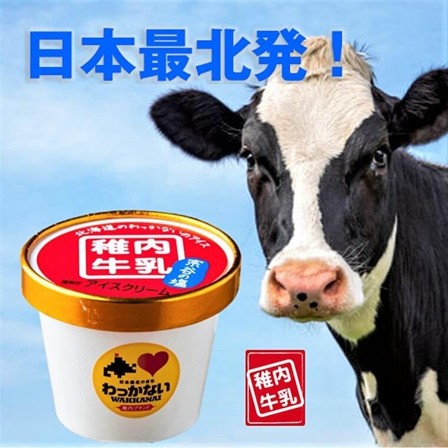 稚内牛乳アイスクリーム12個セット