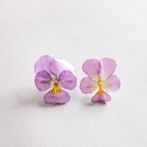耳元お花畑♡ミニビオラのピアス【イヤリング変更可】purple