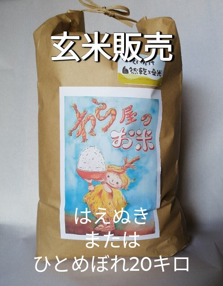 特別栽培米　つや姫　10キロ　わら屋のお米　自然乾燥米 わら屋のお米』特別栽培米つや姫 10k くいがけ自然乾燥米 令和7年度産