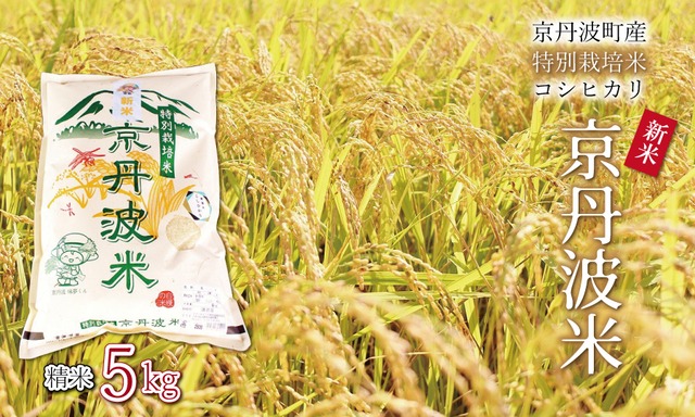 AK001N 特別栽培米 コシヒカリ 京丹波米 5kg　京都 京丹波町産 米 精米 生産者限定 令和5年度産