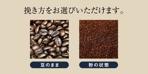 青海珈琲 特別ギフト 高取焼カップ+プレミアムブレンド200g スペシャリティーコーヒー