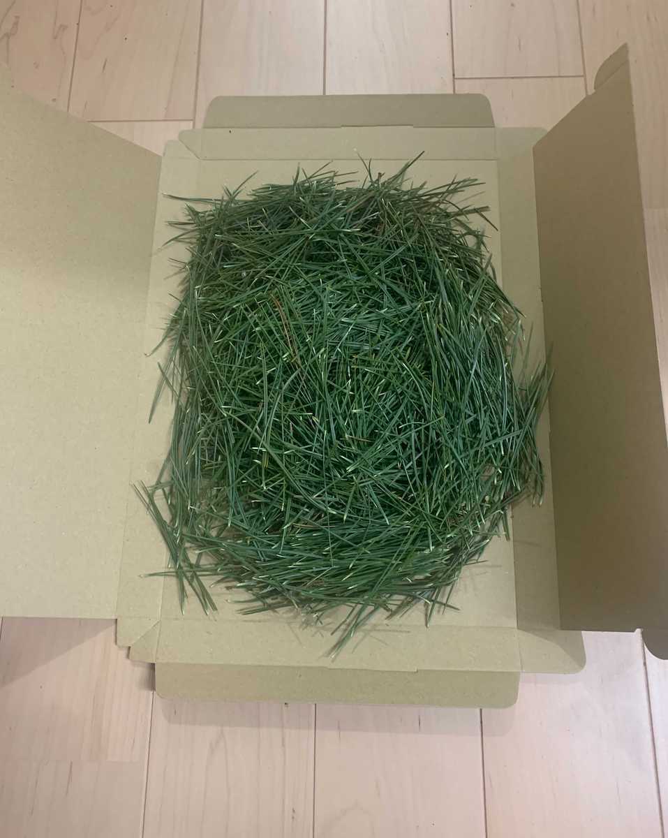 北三陸沿岸の松葉（葉）200g / 天然・無農薬