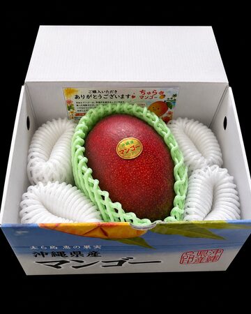 宮古島産 極上の逸品 完熟 アップルマンゴー2kg （4～5玉）15度以上
