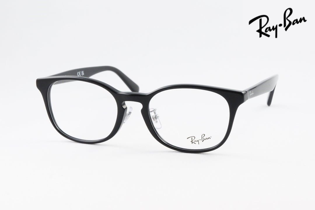 Ray-Ban メガネ RX5386D 2000 51サイズ 53サイズ ウエリントン