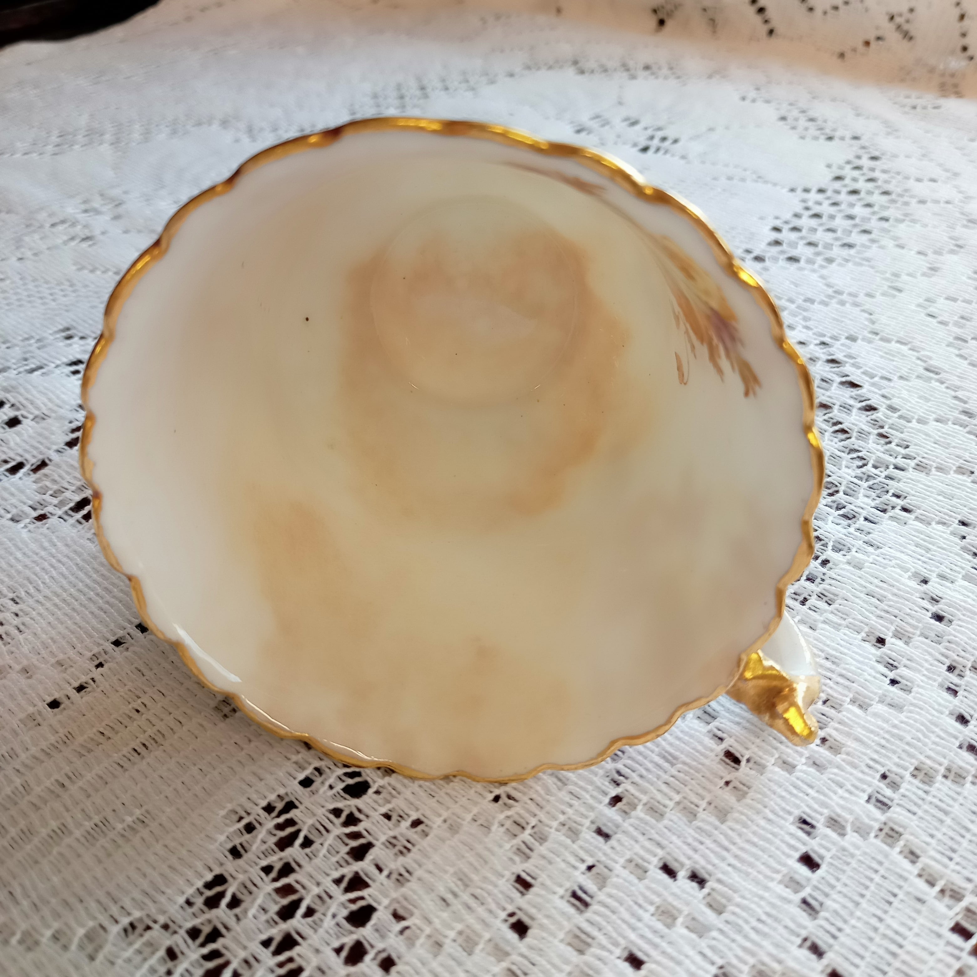 エインズレイ デミタスカップ＆ソーサ― ボタニカル AYNSLEY G028