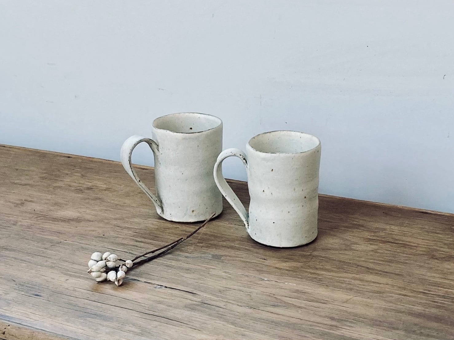 antique Shiromoegi フランスショットマグ