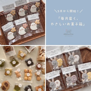 【LINE限定】5月スタート定期便・プレ体験BOX(たっぷり大満足便)