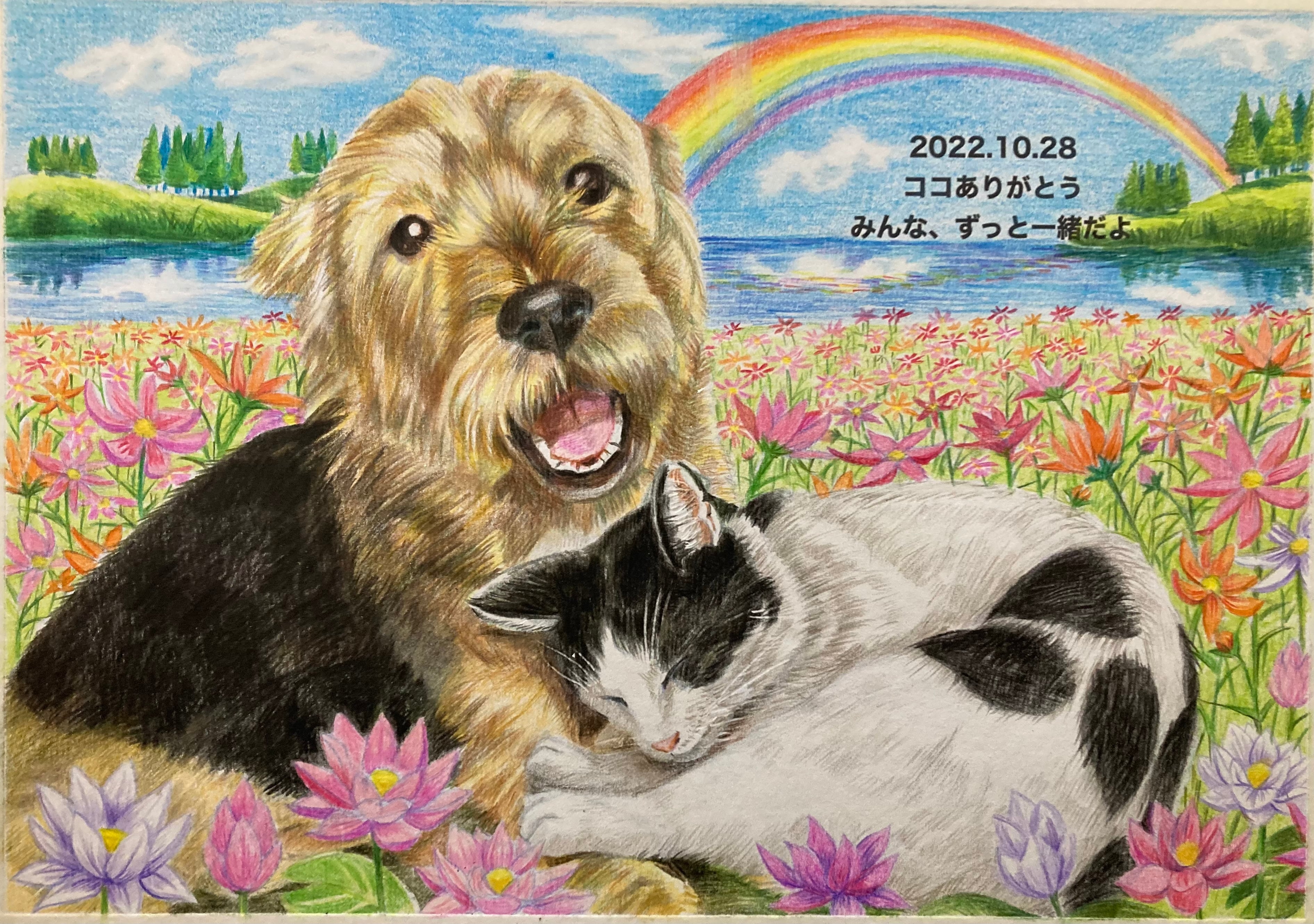 ⭐︎⭐︎色鉛筆画オーダー専用ページです⭐︎⭐︎ オーダーメイド色鉛筆画(ポストカードサイズ) | ペットの肖像画屋さん