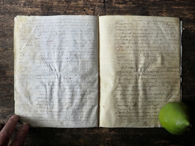 羊皮紙の古文書 Ⅲ