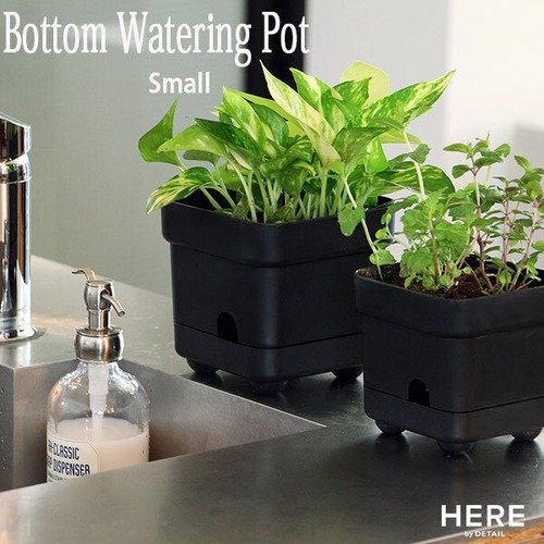 Bottom Watering Pot Small ボトム ウォータリング ポット スモール 底面給水 植木鉢 プランター 観葉植物 ハーブ HERE by DETAIL