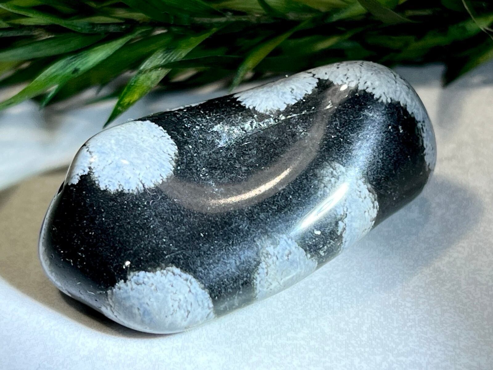 シャンパンゴールド　ルチルクォーツ　マニフェステーション　ダウ カット シャンパンゴールドルチルクォーツマニフェステーションダウ カット