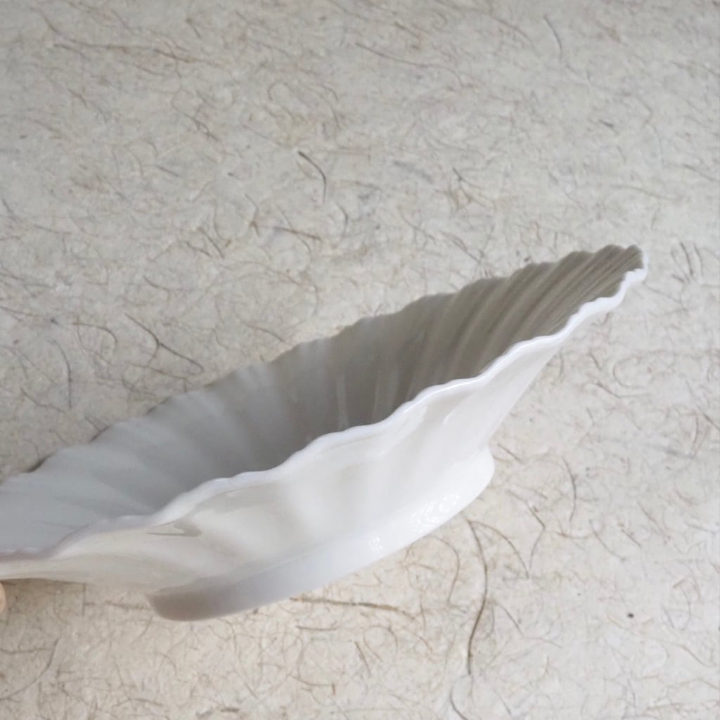 色原 昌希/白磁 レリーフ深皿 5.5寸