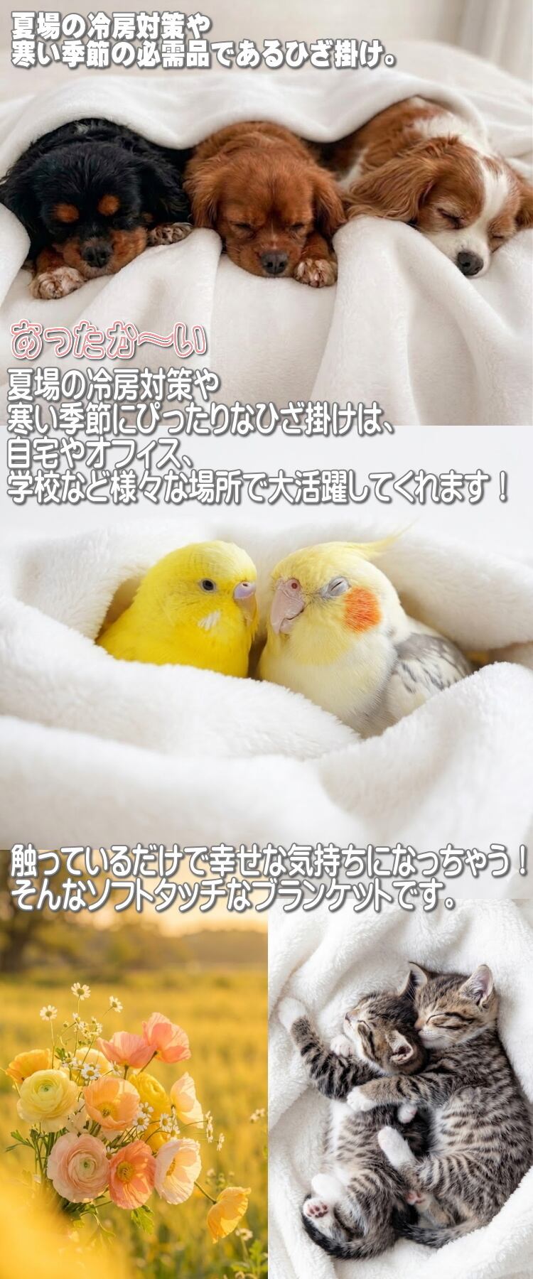 フトアゴヒゲトカゲ 爬虫類 ソフトブランケット ひざかけ 毛布 グッズ