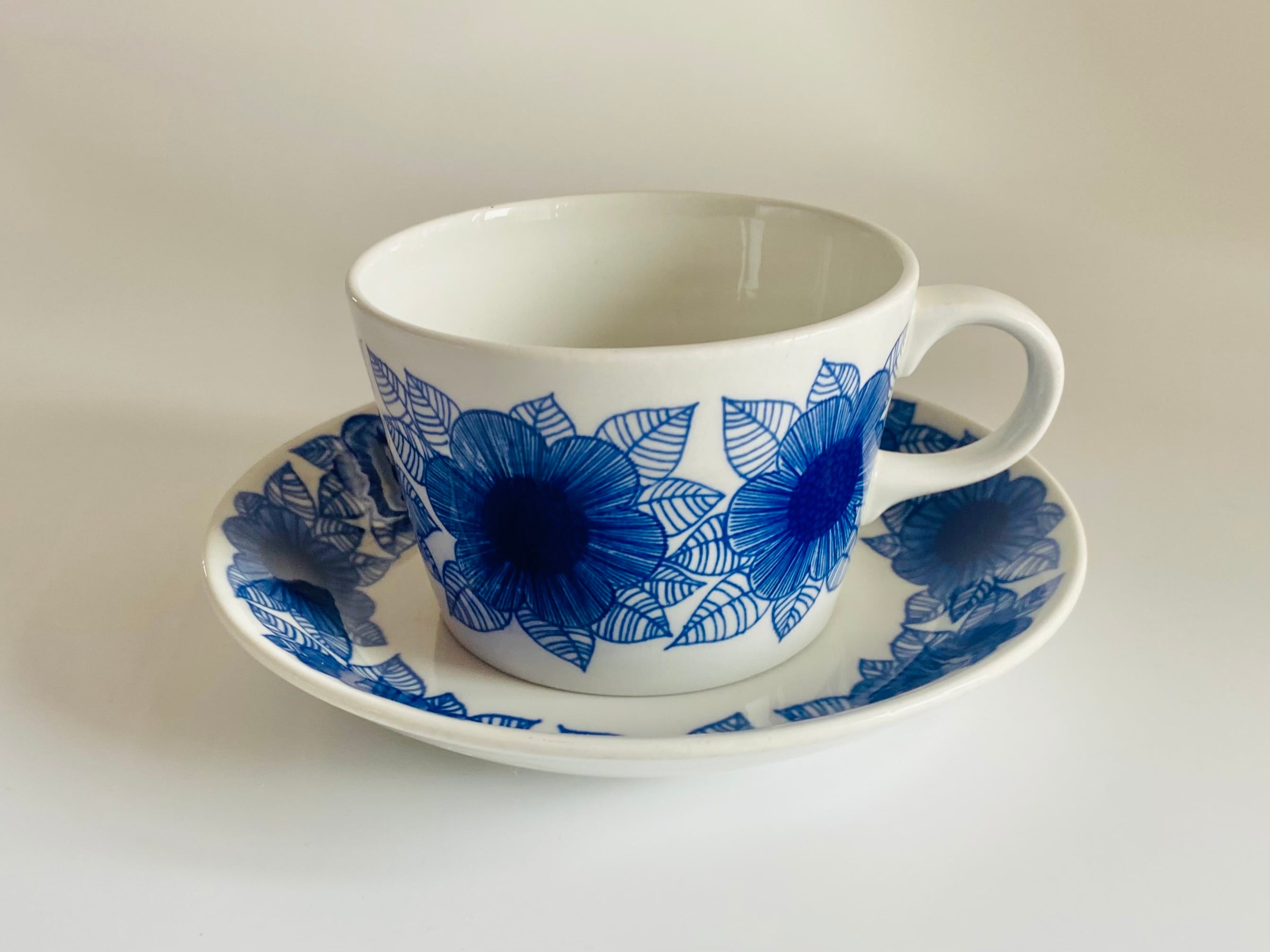 Arabia Esteri Tomula Botanica Vaccinium myrtillus / アラビア