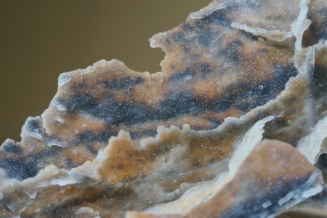 カルセドニー / クローライト ② Chalcedony / Chlorite