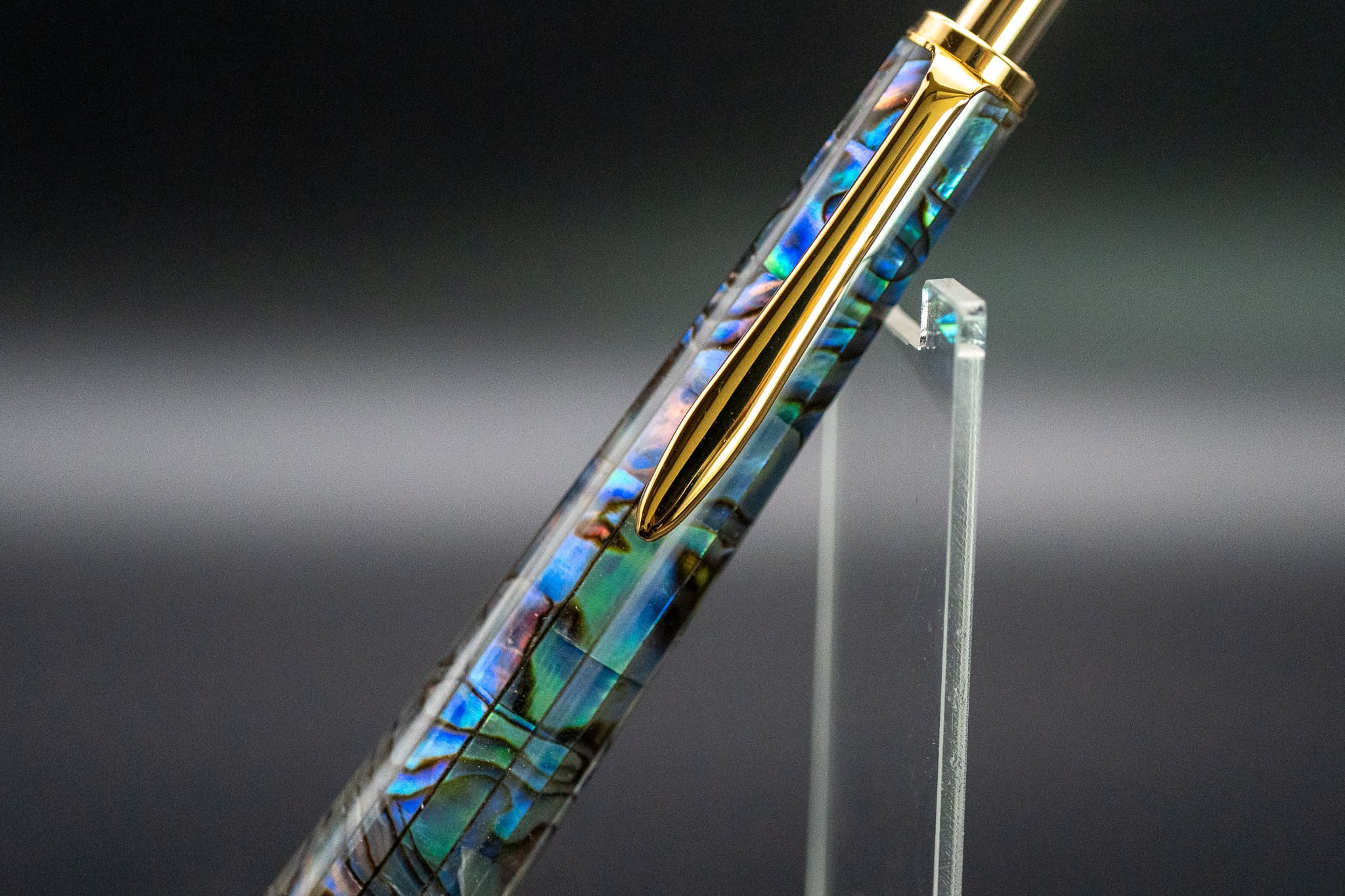 【海洋の宝石】 ニュージーランド産 アバロン gold MP