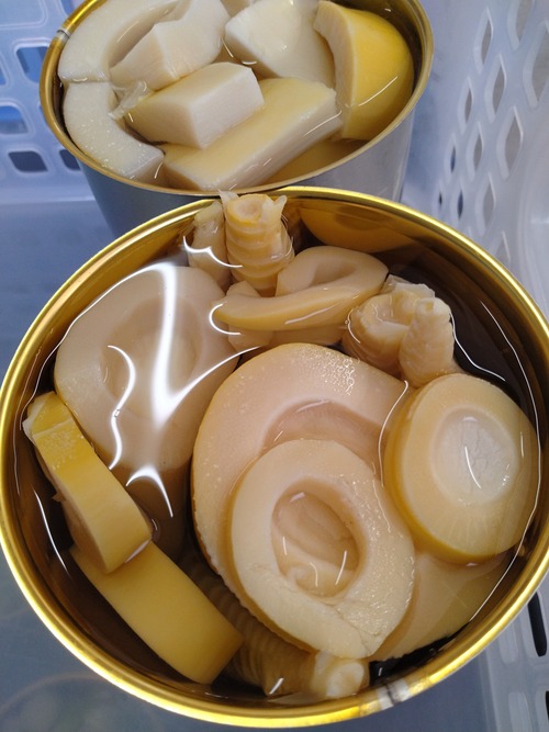 淡竹(ハチク) 水煮