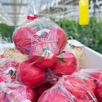 フルーツトマト　ご家庭用お福分けパック　4kg箱(1袋400g程度)6袋入り