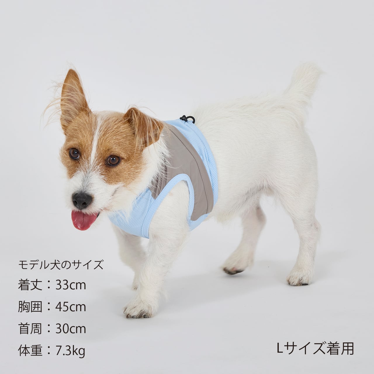COOLING VEST（S.M.L） クーリングベスト | MANDARINE BROTHERS