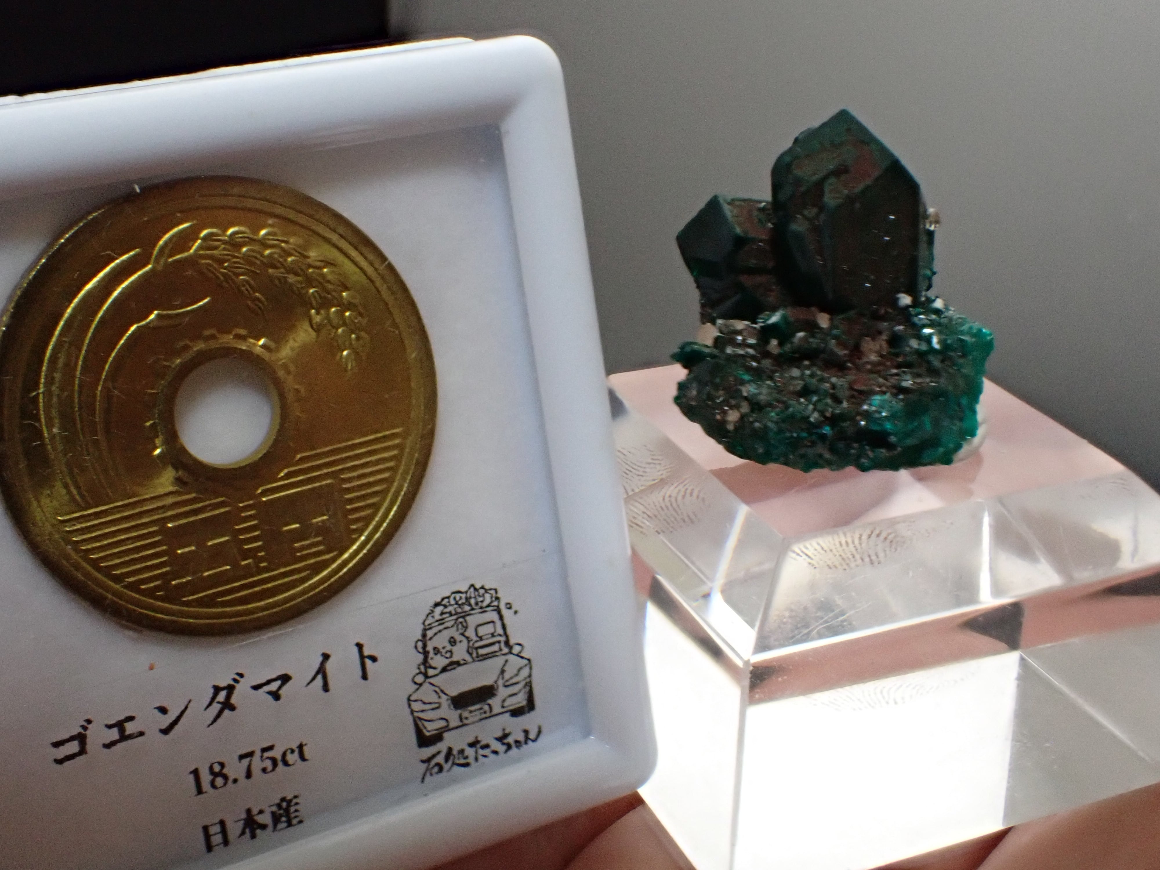 大きな結晶】ダイオプテーズ 翠銅鉱 原石 標本 | 石処たっちゃん