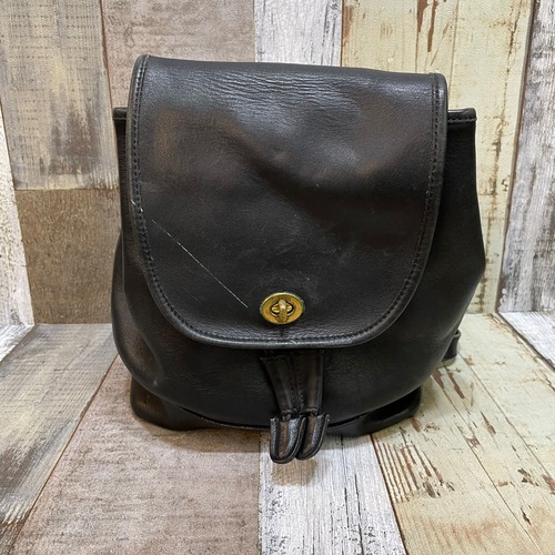 0202 Old COACH オールドコーチ Leather Small Backpack レザースモールバックパック