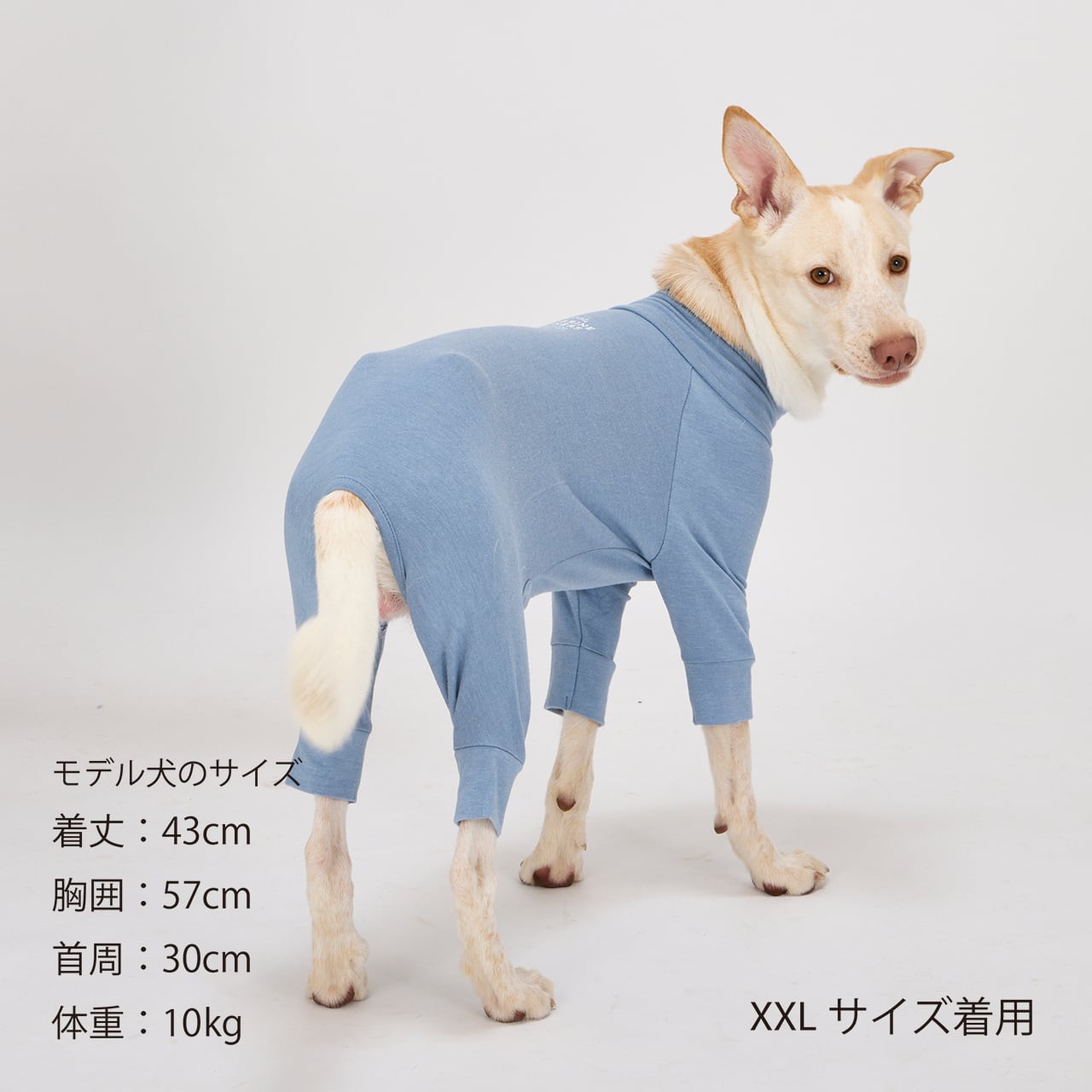 マンダリンブラザーズ　スキンタイトスーツ　レトロフューチャー　XL SKIN TIGHT SUIT（XL.XLB.XXL）スキンタイトスーツ | MANDARINE