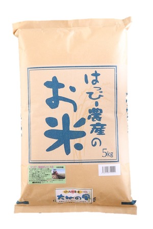 令和5年産【愛知のご当地米！あっさり味がおかずに合う♪】特別栽培米 大地の風白米10ｋｇ（5ｋｇ×2）